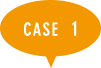 case 01