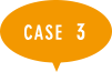 case 03